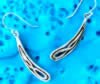Boucles doreilles Goutte